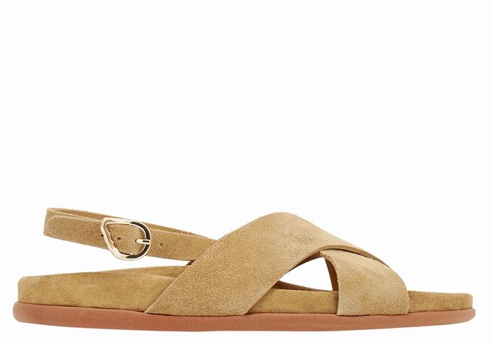 Sandales Casual Ancient Greek Sandals Ikesia   | NRA-8076192